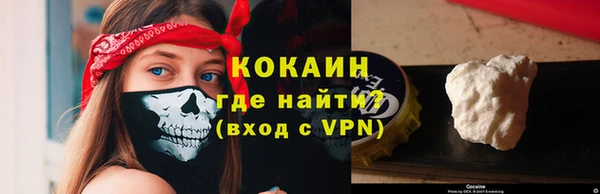 PSILOCYBIN Аркадак